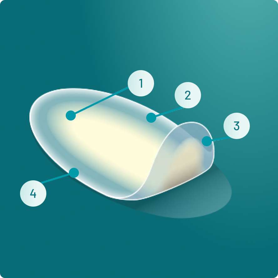 Compeed Medium Blister Plaster Detail