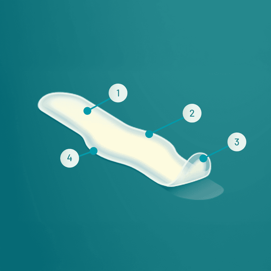 Compeed Plaster on Toes Blister Plaster Detail